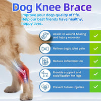 Pet Dog Leg Brace for Injury Recovery and Support