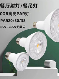 Dimmable LED PAR20 PAR38 E27 Spotlight Bulb 110V E26