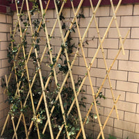 Expandable Bamboo Garden Fence and Trellis for Outdoor Decor