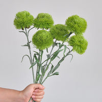 Artificial Dianthus Green Plant Ball for Photography Props and Decoration