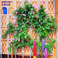 U-Shaped Garden Trellis for Climbing Plants, European Style Rose Arch Fence, Decorative Metal Support for Vines and Flowers