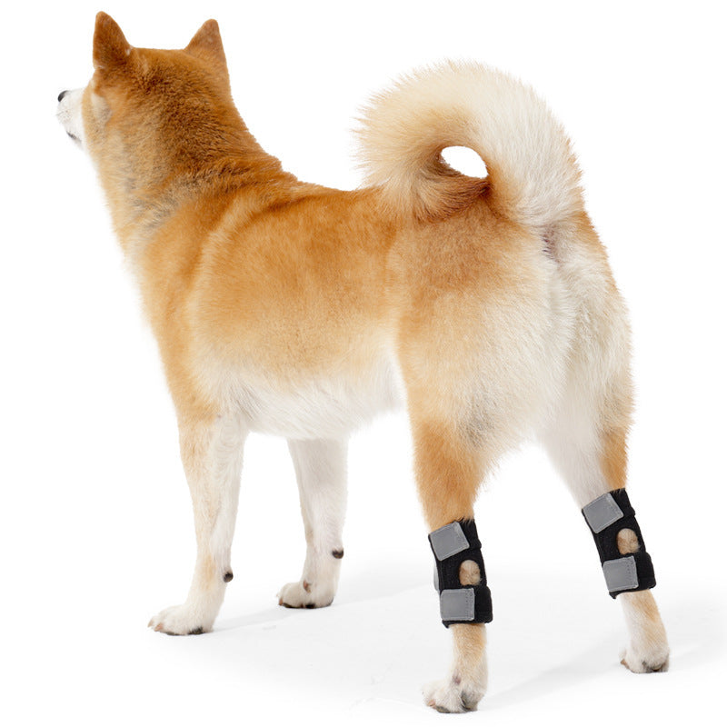 Dog Rear Leg Brace with Adjustable Hook and Loop Fastener for Joint Protection