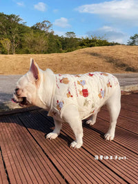 Pet Christmas Rabbit Vest Warm Cotton-Padded Dog Coat for Autumn/Winter