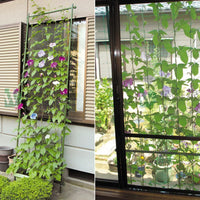 Garden Arch Trellis for Climbing Plants, Roses, Clematis, and Vines - Metal Plant Support Frame with Netting