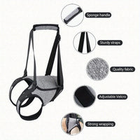 Dog Rear Leg Support Harness for Injured or Elderly Dogs