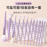12-Piece Portable Soft Bristle Makeup Brush Set for Blush, Powder, Eyeshadow, Eyeliner