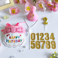 Pet Birthday Bandana and Hat Set for Cats and Dogs