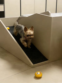 Pet Bedside Ramp for Small Dogs - Non-Slip Ladder for Teddy, Bichon, Chihuahua