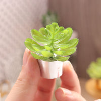 Miniature Dollhouse Plant Shelf with Succulents for BJD Dolls