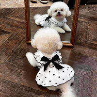 Pet Summer Dress with Leash Ring, Breathable Heart Bow Princess Skirt for Small Dogs & Puppies