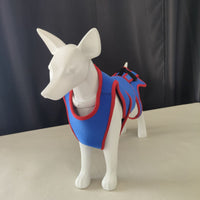 Pet Dog Spine Support Harness Vest with Calming Traction Lead