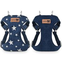 Dog Vest Harness and Leash Set for Small to Medium Dogs - Teddy, Bichon, Multifunctional Pet Harness