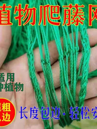 Plant Trellis Netting for Climbing Fruits and Vegetables