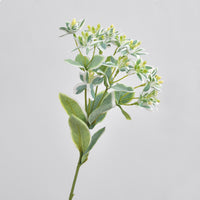 Artificial Silver-Edged Greenery Plant for Home & Hotel Decor