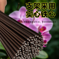 Orchid Plant Support Stakes with Clips and Caps for Potted Flowers