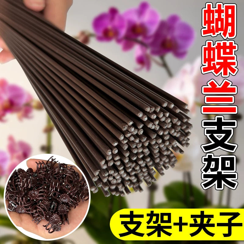 Orchid Plant Support Stakes with Clips and Caps for Potted Flowers