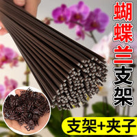 Orchid Plant Support Stakes with Clips and Caps for Potted Flowers