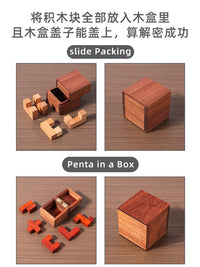 Hell Difficulty Puzzle Brain Teaser Building Blocks for Adults and Students