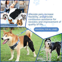 Pet Dog Leg Brace for Injury Recovery and Support