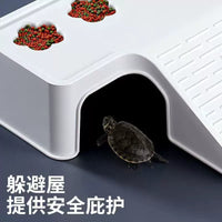Turtle Basking Platform with Integrated Filter and Ramp for Aquarium