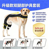 Dog Knee Brace for Post-Surgery Recovery and Support