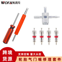 Tire Valve Stem Repair Kit with Valve Cores and Removal Tools