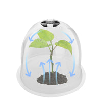 Mini Greenhouse Plant Cover with Fixing Pegs for Garden and Balcony, Moisturizing and Frost Protection