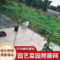 Heavy-Duty Plant Climbing Net for Fruits, Vegetables, and Flowers - Garden Trellis Netting for Courtyards and Farms