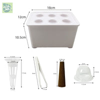 Hydroponic Growing System Indoor Soilless Planter Box for Home Gardening