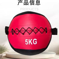 Non-Bounce Solid Medicine Wall Ball for Fitness Training