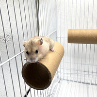 Small Pet Parrot Paper Perch Chew Toy for Hamsters and Birds