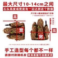 Absorbent Rock Bonsai Landscape Ornament for Micro-Landscape Aquariums and Gardens