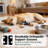 Reflective Dog Leg Brace for Joint Support and Protection
