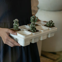 Thickened Plastic Seedling Tray with Water Catchment for Succulents and Vegetables