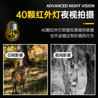 BDL91 WiFi 4K Infrared Trail Camera with Night Vision and Time-Lapse Recording