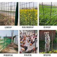 Galvanized PVC Coated Welded Wire Mesh Fence for Road and Rail Isolation, Farm Enclosures
