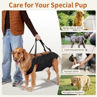 Adjustable Pet Dog Rehabilitation Harness for Disabled Senior Dogs