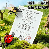 Wind-Up Insect Toy Set for Kids - Crawling Beetle, Bee, and Bug Models
