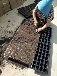 Seedling Starter Trays with Multiple Cells for Vegetable and Flower Cultivation