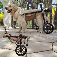 Large Pet Wheelchair for Rehabilitation and Walking Assistance