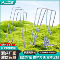 Galvanized Steel U-Shaped Garden Staples for Weed Barrier and Landscape Fabric