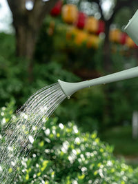 2L Long Spout Watering Can with Shower Head for Indoor Outdoor Plants