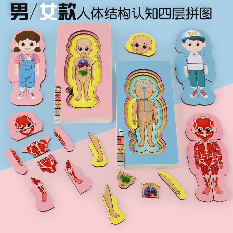 Kids Montessori Wooden Human Anatomy Puzzle Toy for Early Education