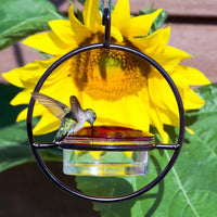 Hummingbird Feeder Outdoor Hanging Bird Water Dispenser for Garden Patio