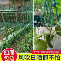 Plant Trellis Netting for Climbing Vegetables and Fruits, Heavy Duty Garden Support Mesh