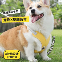 New Pet Leash Vest Harness Reflective Dog Leash Pet Supplies Wholesale
