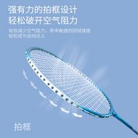 Professional Carbon Fiber Badminton Racket Set for Adults and Kids, Lightweight and Durable