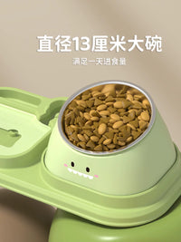 Elevated Pet Food and Water Bowl Set with Automatic Dispenser for Cats and Dogs
