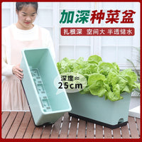 Deepened Self-Watering Planter Box for Balcony & Rooftop Gardening - Large Capacity Root Growing Container for Vegetables & Strawberries
