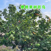 Nylon Bird Netting for Fruit Trees, Orchards, and Ponds - Protective Mesh for Cherries, Grapes, and Aquaculture